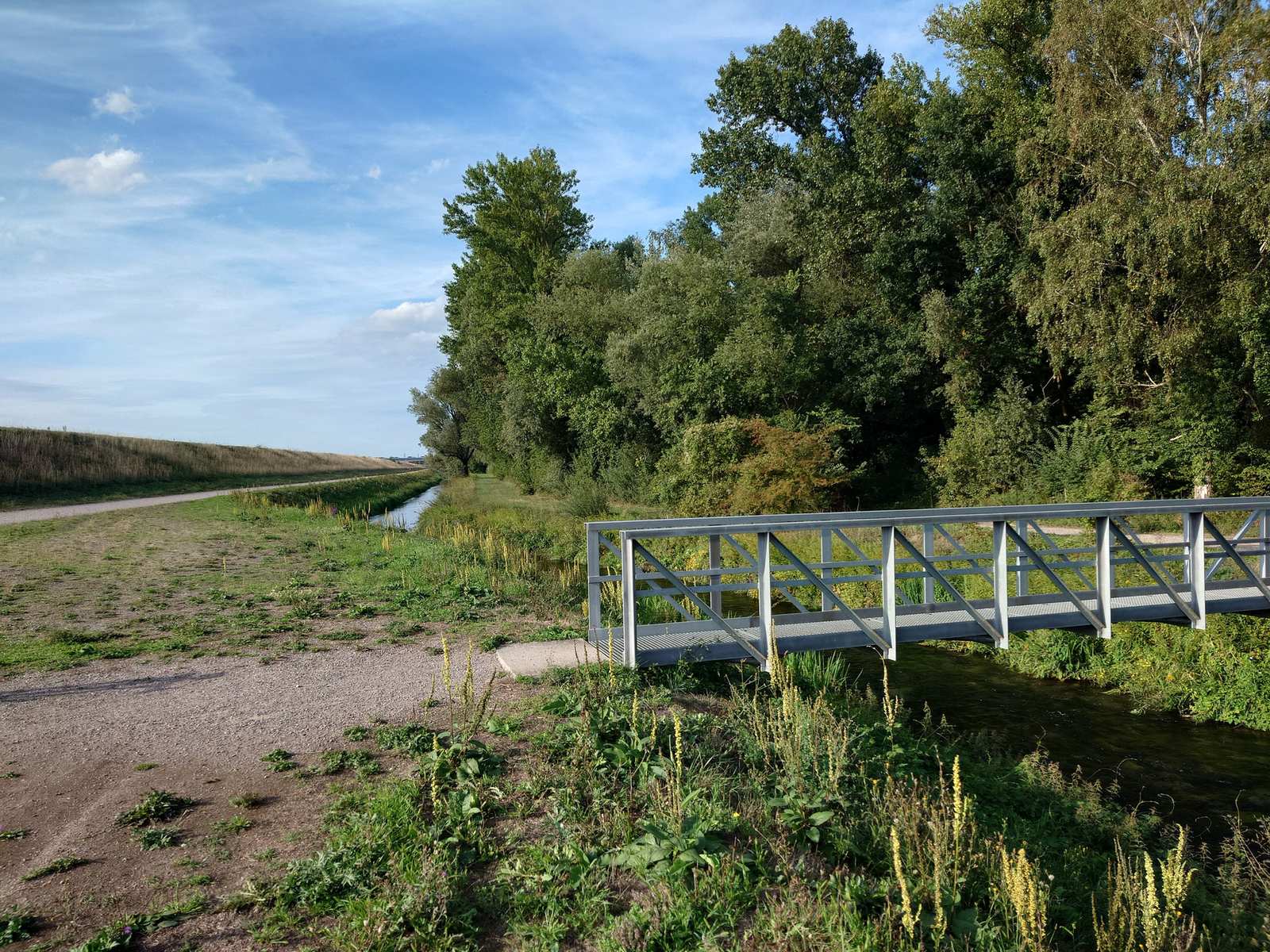 Bridge over a waterway in the Rhine meadows