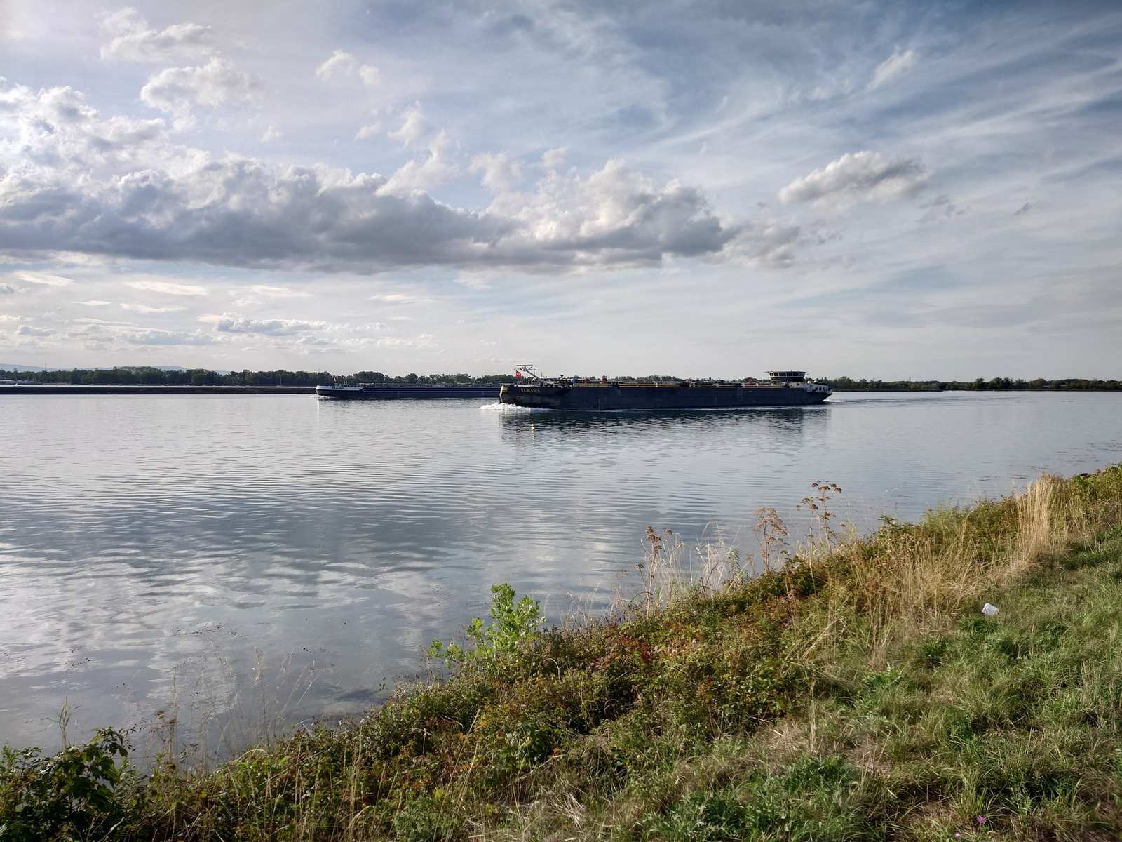 The Rhine with a passing cargo ship