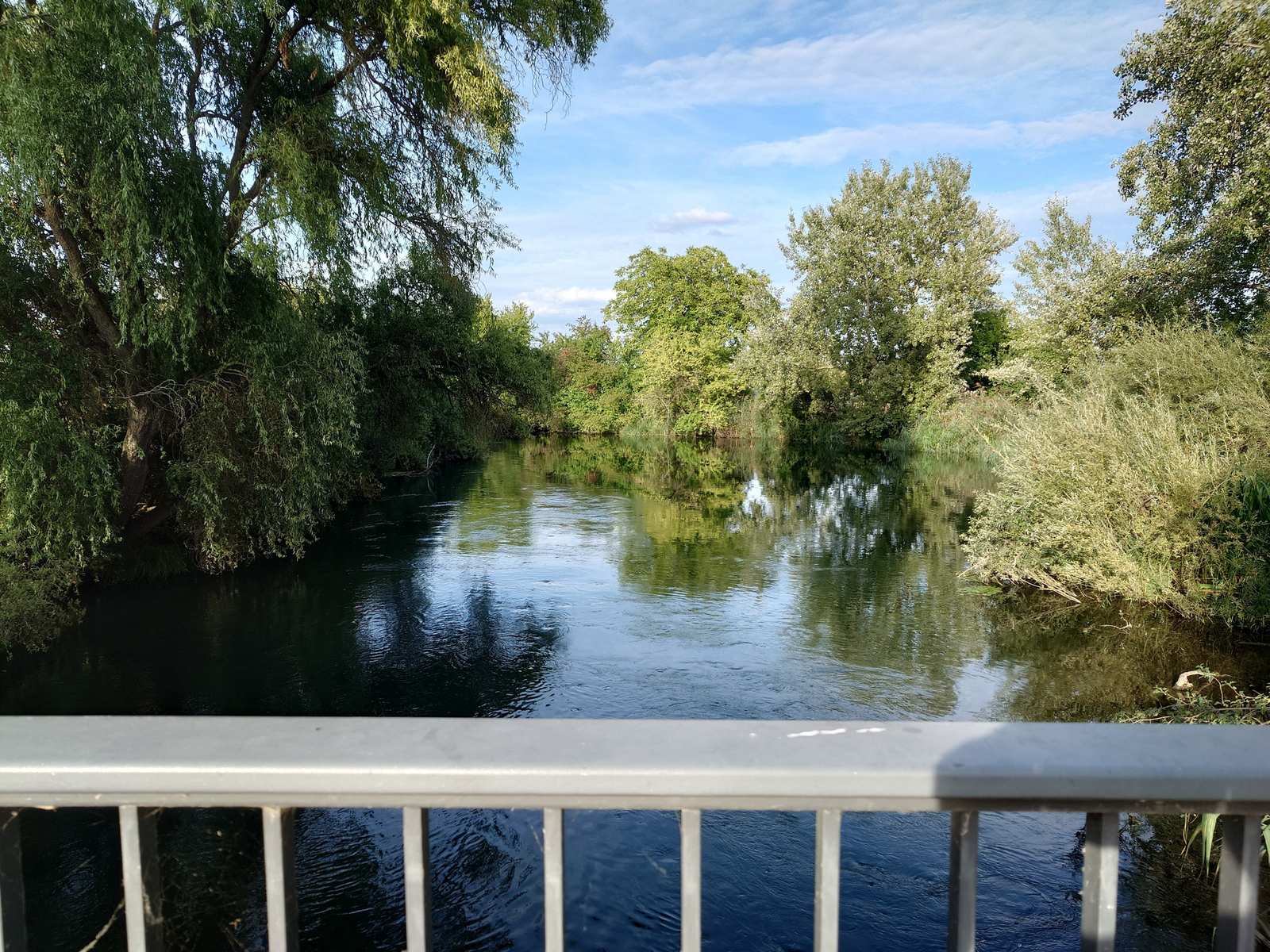 Natural waterway between trees and meadows